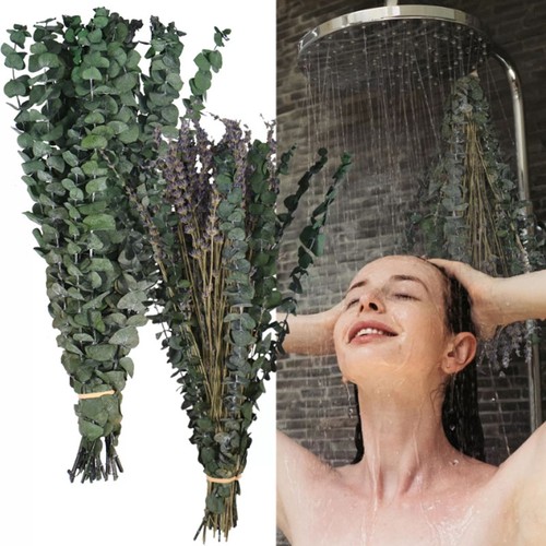 65pcs dried eucalyptus - 20/65pcs,